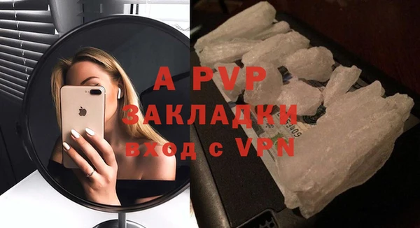 индика Вязьма