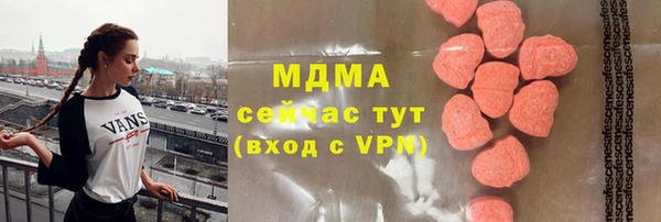 индика Вязьма