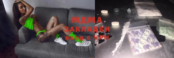 индика Вязьма