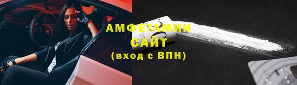 индика Вязьма