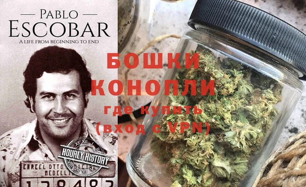 сатива Горнозаводск