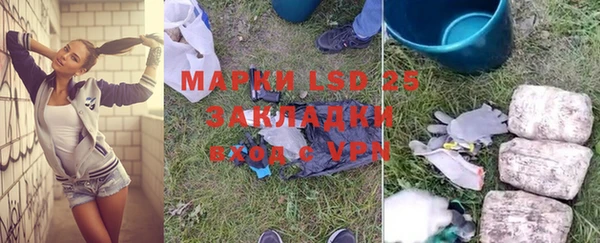 индика Вязьма