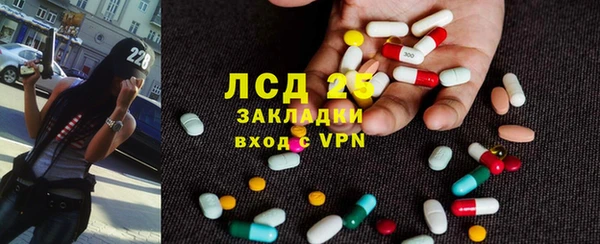 индика Вязьма