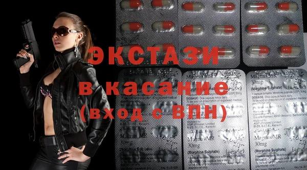 индика Вязьма