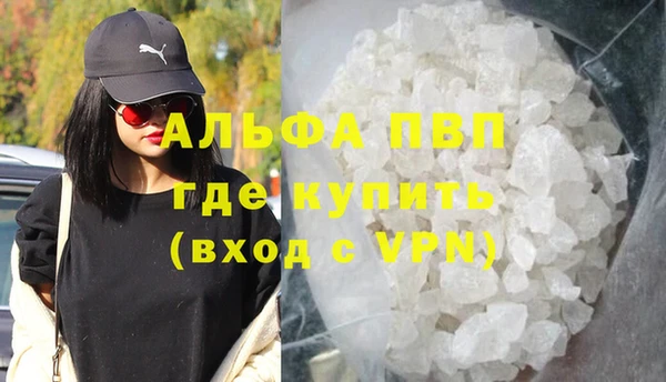 индика Вязьма