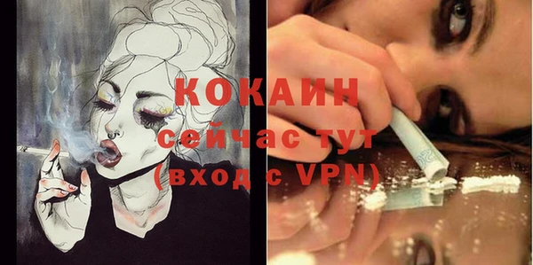 индика Вязьма