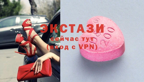 индика Вязьма