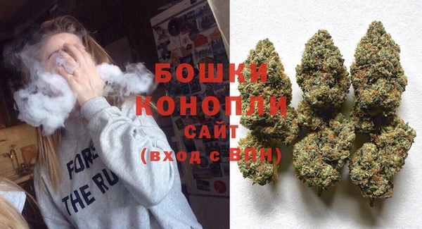 индика Вязьма