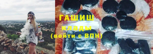 индика Вязьма