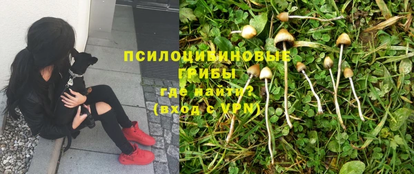 индика Вязьма